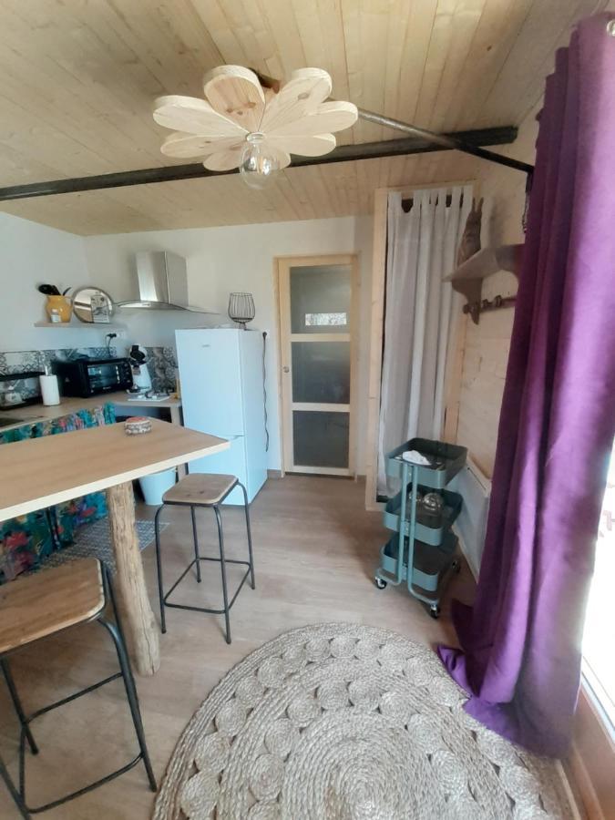 Chalet Grenouille Domaine De La Mamounette Champclause المظهر الخارجي الصورة