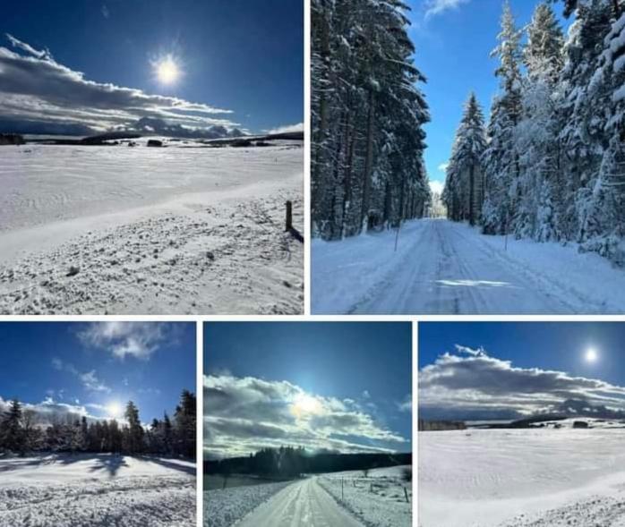 Chalet Grenouille Domaine De La Mamounette Champclause المظهر الخارجي الصورة
