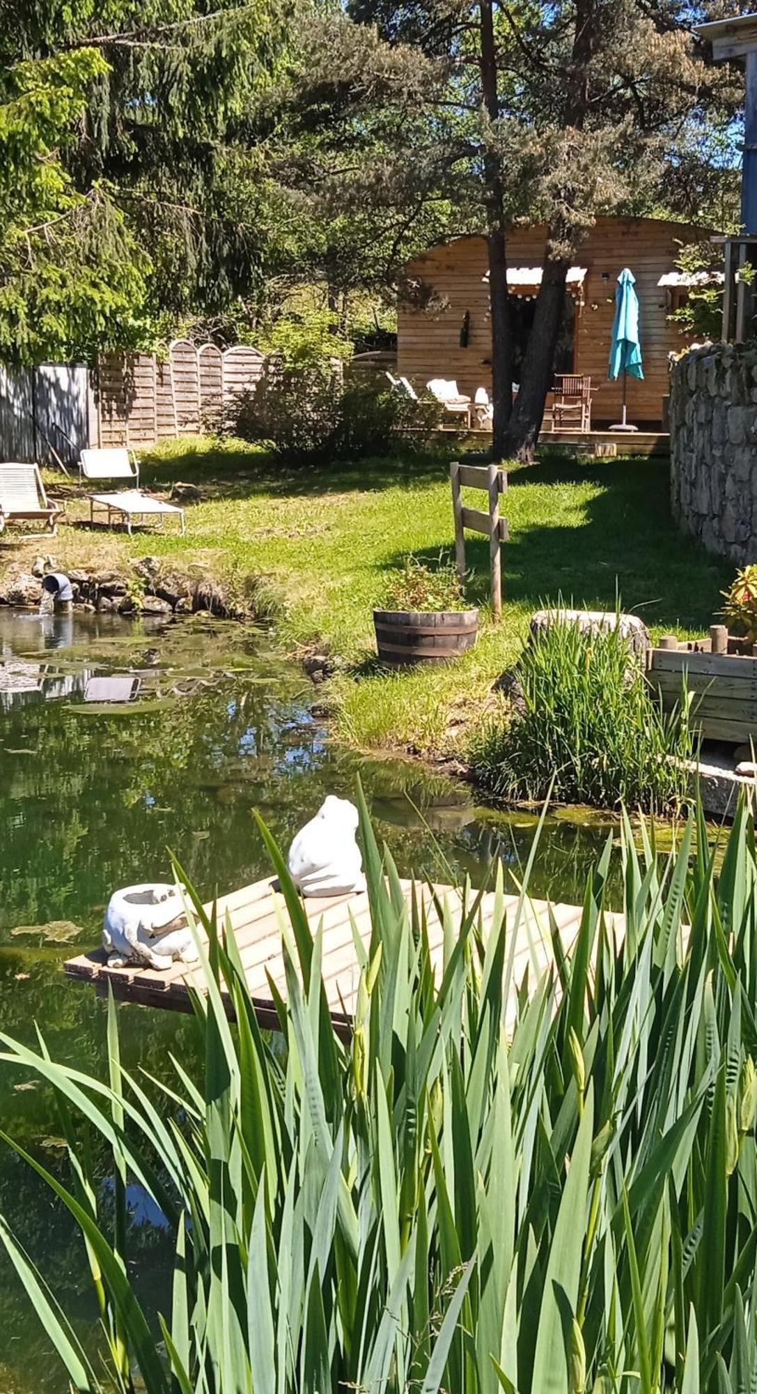 Chalet Grenouille Domaine De La Mamounette Champclause المظهر الخارجي الصورة