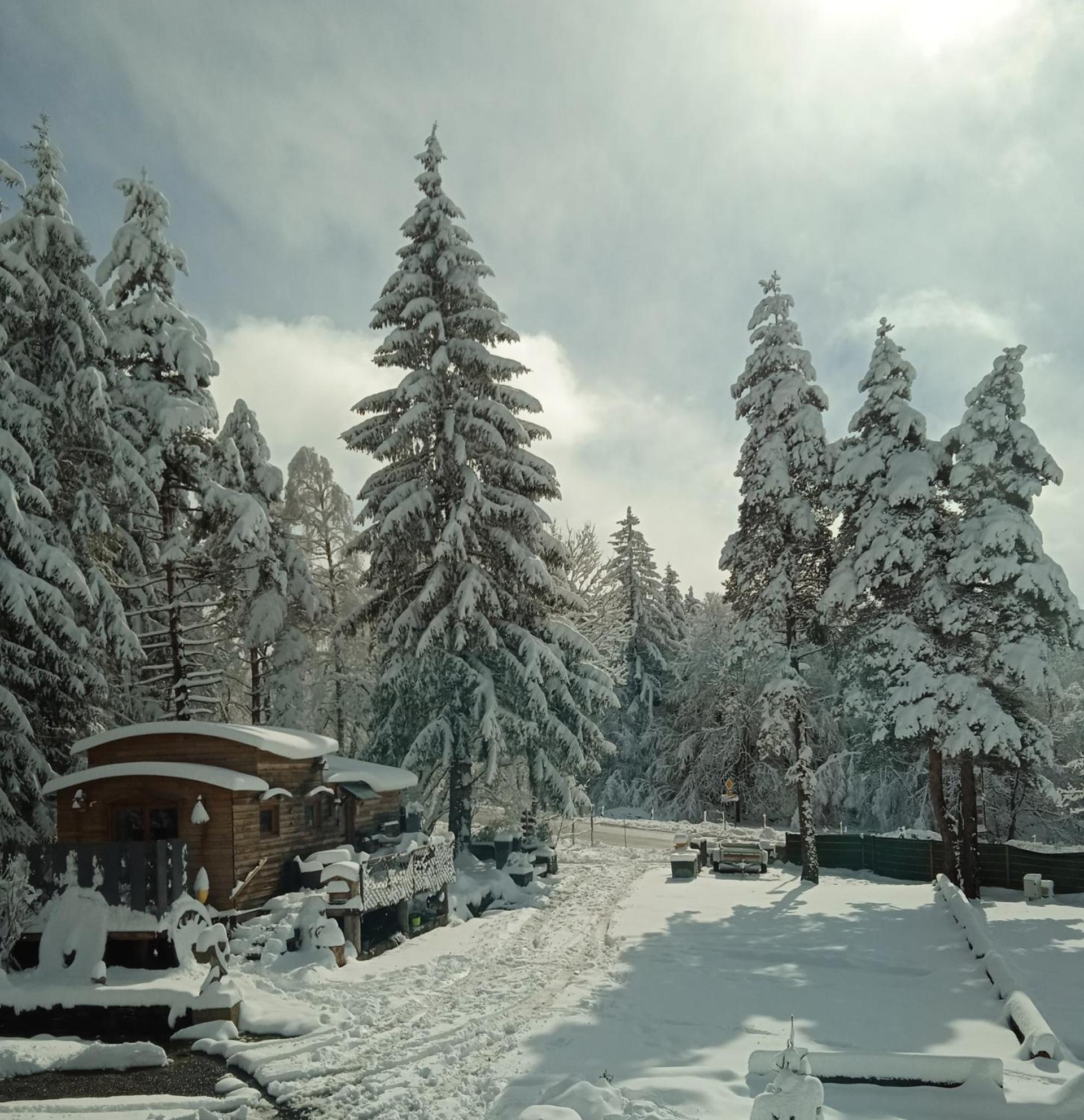 Chalet Grenouille Domaine De La Mamounette Champclause المظهر الخارجي الصورة