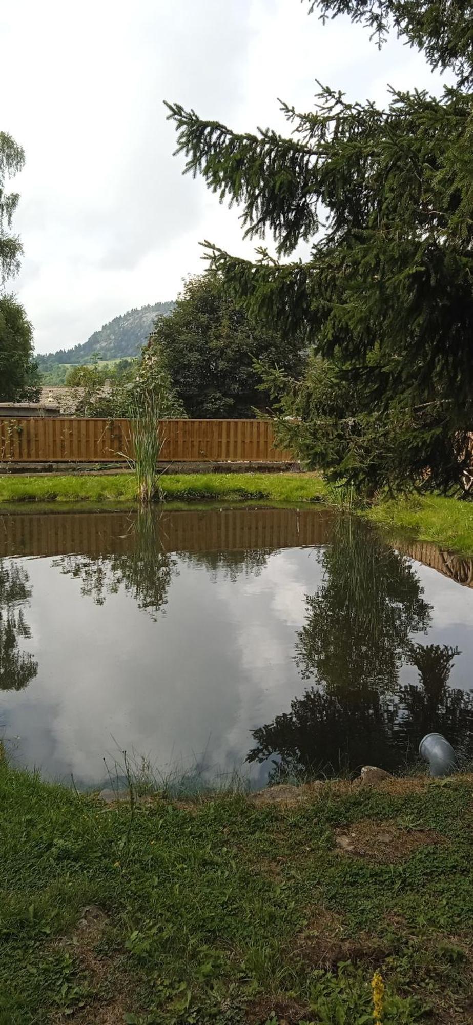 Chalet Grenouille Domaine De La Mamounette Champclause المظهر الخارجي الصورة