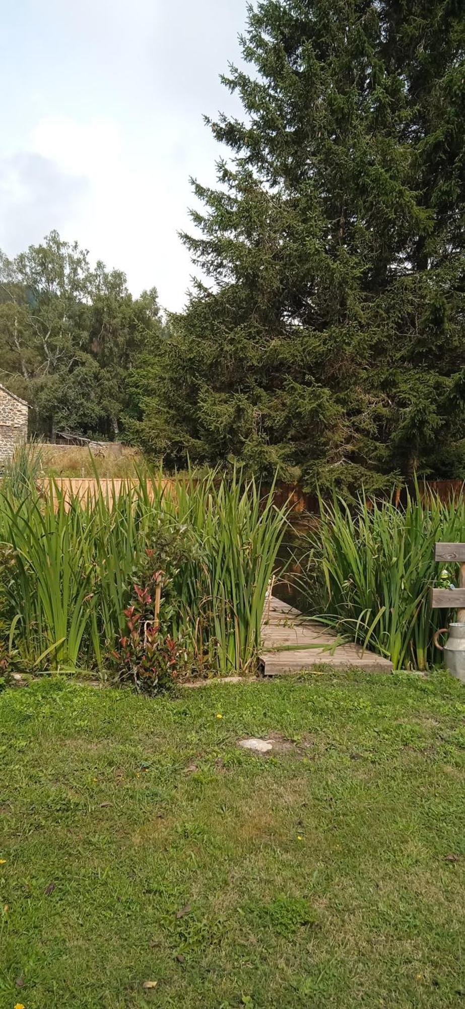 Chalet Grenouille Domaine De La Mamounette Champclause المظهر الخارجي الصورة