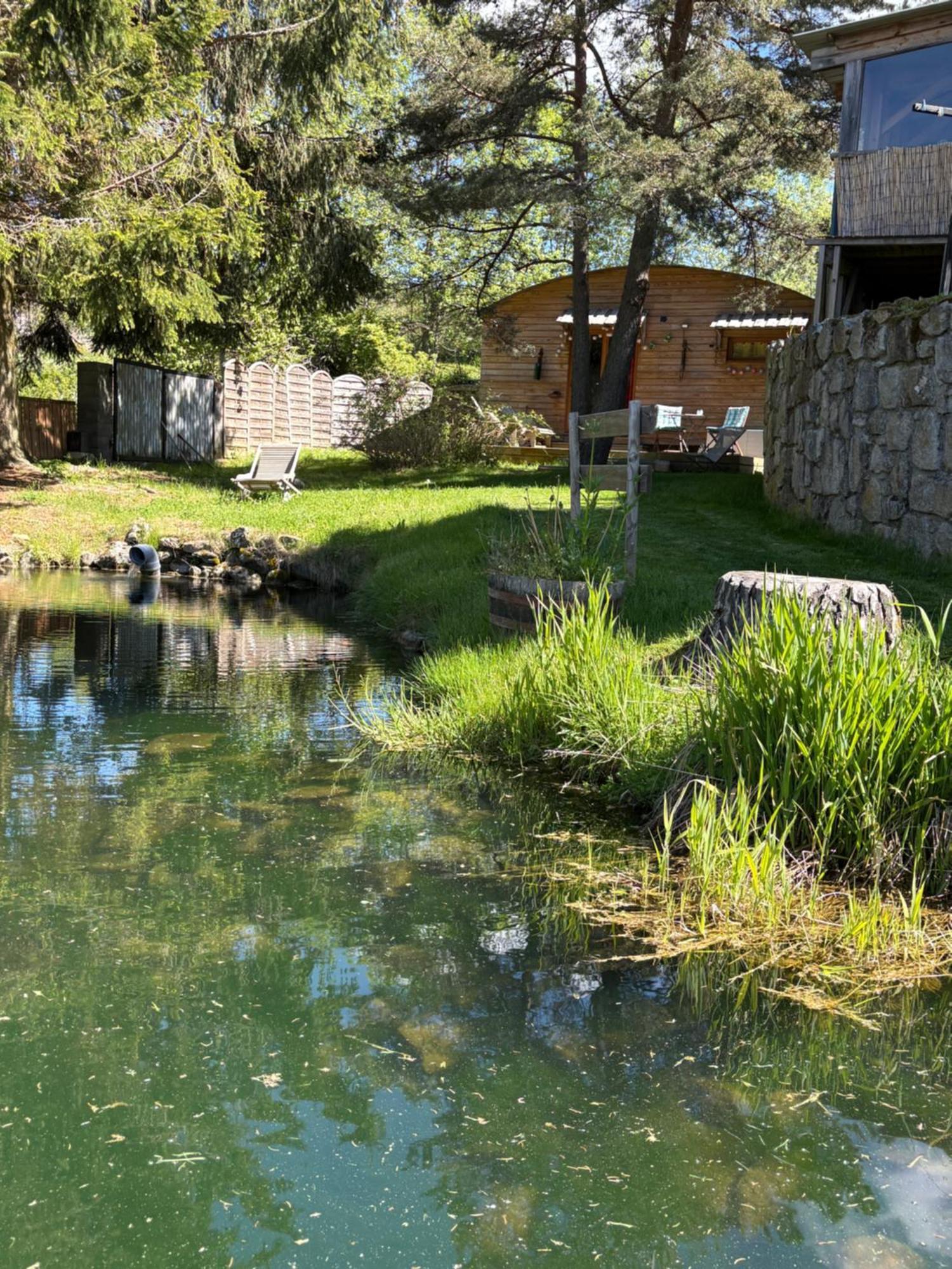 Chalet Grenouille Domaine De La Mamounette Champclause المظهر الخارجي الصورة